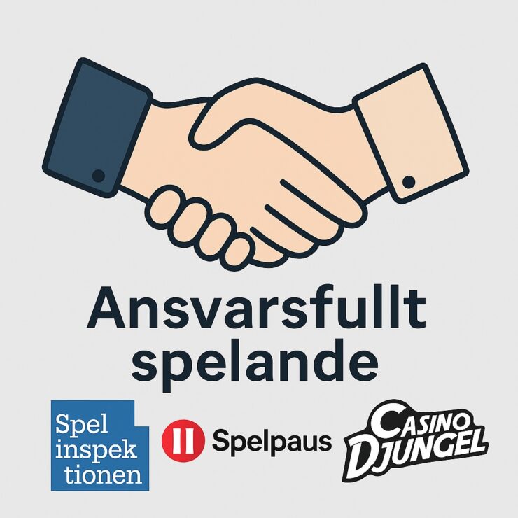 Ansvarfullt spelande